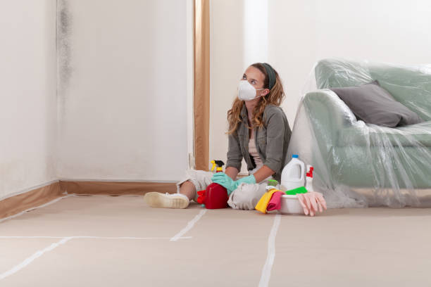 Reliable Mold Cleanup contractor in Saint James, NY by Cheap Mold Removal